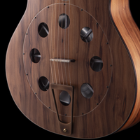 
              R Robinson Guitars GUS Resonator - Florida Sinker Cypress Oil Varnish
            