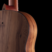 
              R Robinson Guitars GUS Resonator - Florida Sinker Cypress Oil Varnish
            