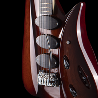 
              Tueffle Guitars Niwa Prodigy - Natural Burst Body, Ground Bronze Powder Neck
            