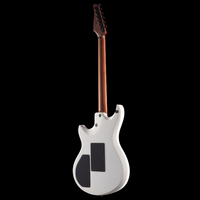 
              Anderson Guitar Works Direwolf
            