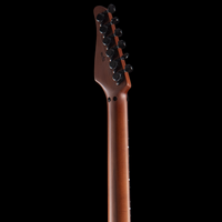 
              Anderson Guitar Works Direwolf
            