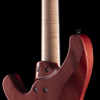 
              Torzal Genesse Bass - Okume Nitro Lacquer
            