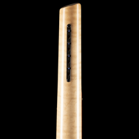 
              Torzal Genesse Bass - Okume Nitro Lacquer
            