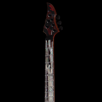 
              Giulio Negrini Guitars -The Two Towers - Art Piece
            