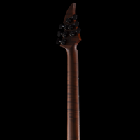 
              Giulio Negrini Guitars -The Two Towers - Art Piece
            