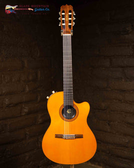 Epiphone Chet Atkins Nylon Guitar - Owned by Jesse Valenzuela of the Gin Blossoms (Used)