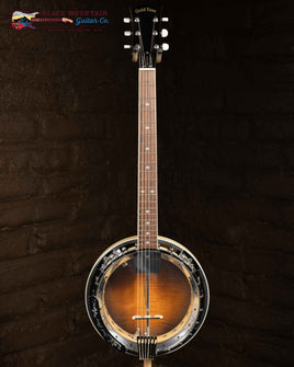 Goldtone GT-750: Banjitar Deluxe (Used)