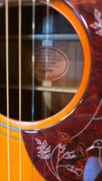 
              Epiphone Hummingbird Standard EC- Cherry Sunburst (New)
            