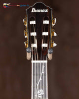 
              Ibanez TOD100NNT - Natural High Gloss (New)
            