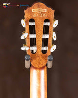 
              Ibanez TOD100NNT - Natural High Gloss (New)
            