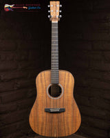 
              Martin D-X1E- Koa (New)
            