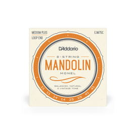 D'Addario EJM75C Mandolin