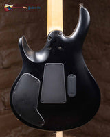 
              PRS SE Chleo-Mantis Burst (New)
            