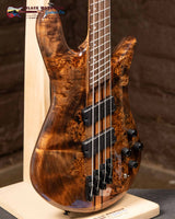 
              Spector NS Dimension 4 Bass Guitar - Super Faded Black Gloss (Used)
            