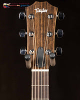
              Taylor 117e (New)
            
