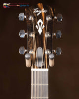 
              Taylor Gold Label 510e (New)
            