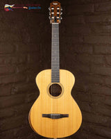 
              Taylor Academy 12e-N - Walnut/ Spruce (New)6012
            