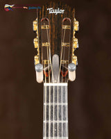 
              Taylor Custom TF (2013) - Rosewood/ Cedar (Used)
            