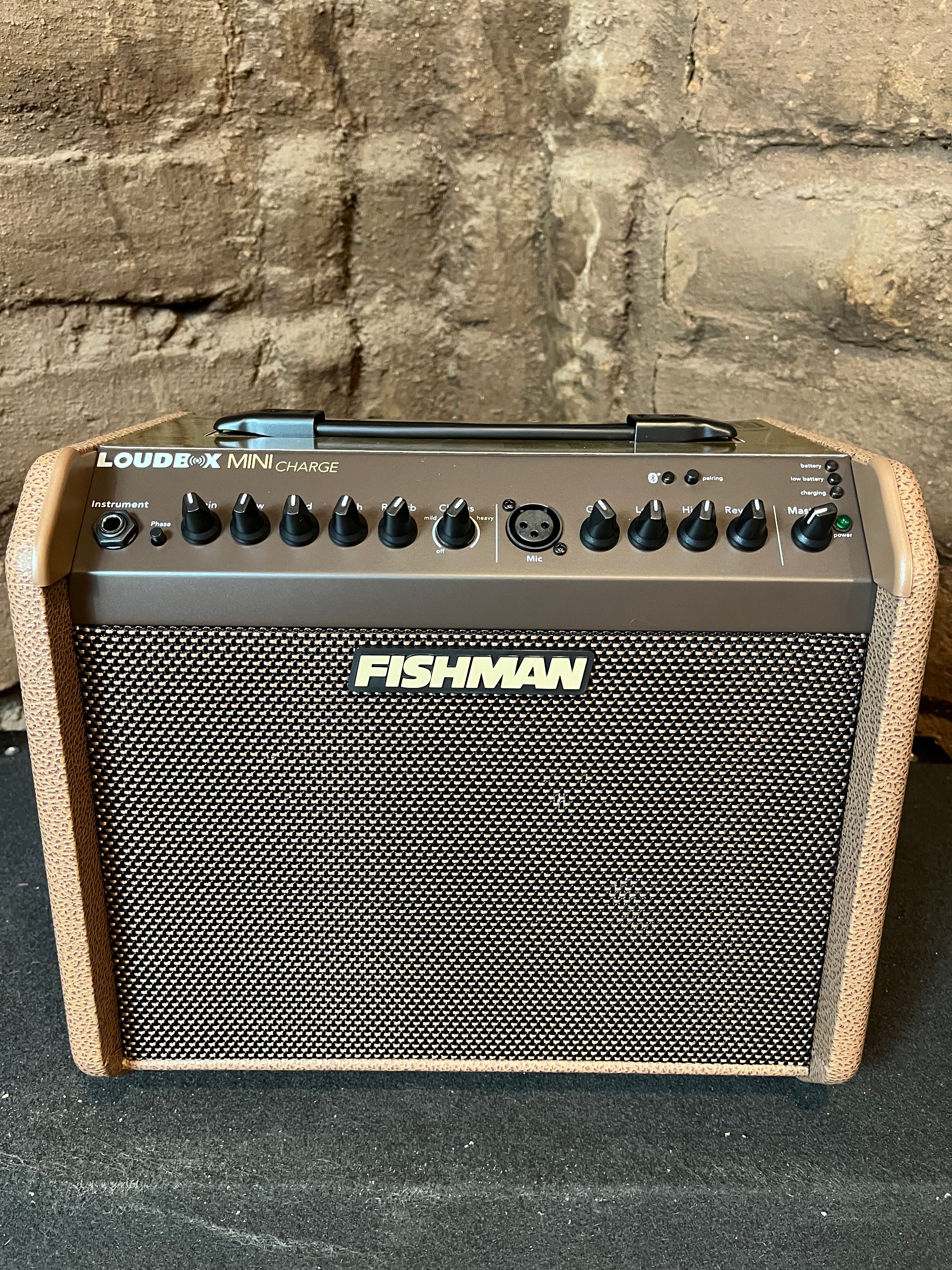 Fishman amps for sale sales