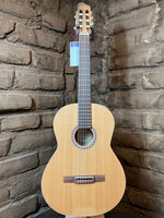 
              Godin Etude SF Nylon (New)
            