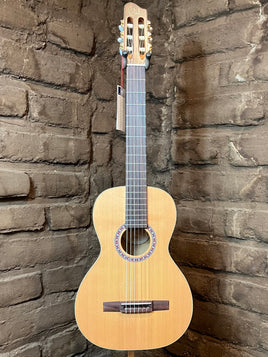 Godin Motif SF Nylon (New)