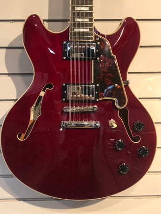 D'Angelico Semi-Hollow 12 String Electric