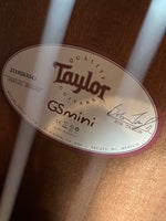 
              Taylor GS Mini
            