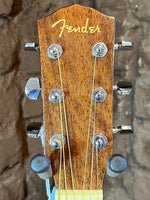 
              Fender Acoustic
            
