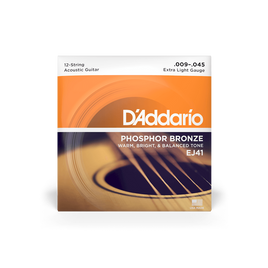 D'Addario EJ41 9-45 12-String